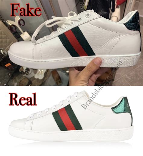 adidas real fake gucci